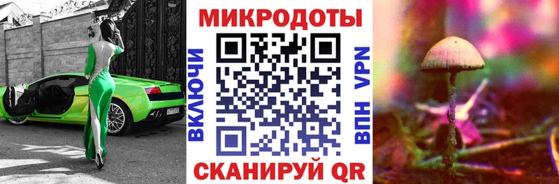 Псилоцибиновые грибы мицелий наркотики гидра как войти Балей
